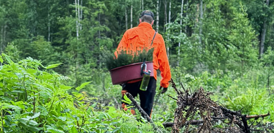 KVJ-FOREST METSÄNHOITO ISTUTUS