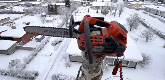 KVJ-FOREST METSURI KIIPEILYKAATO HUSQVARNA