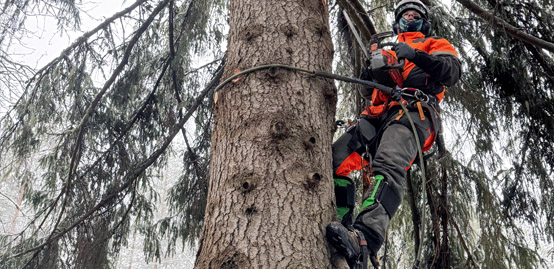 KVJ-FOREST METSURI KIIPEILYKAATO HUSQVARNA