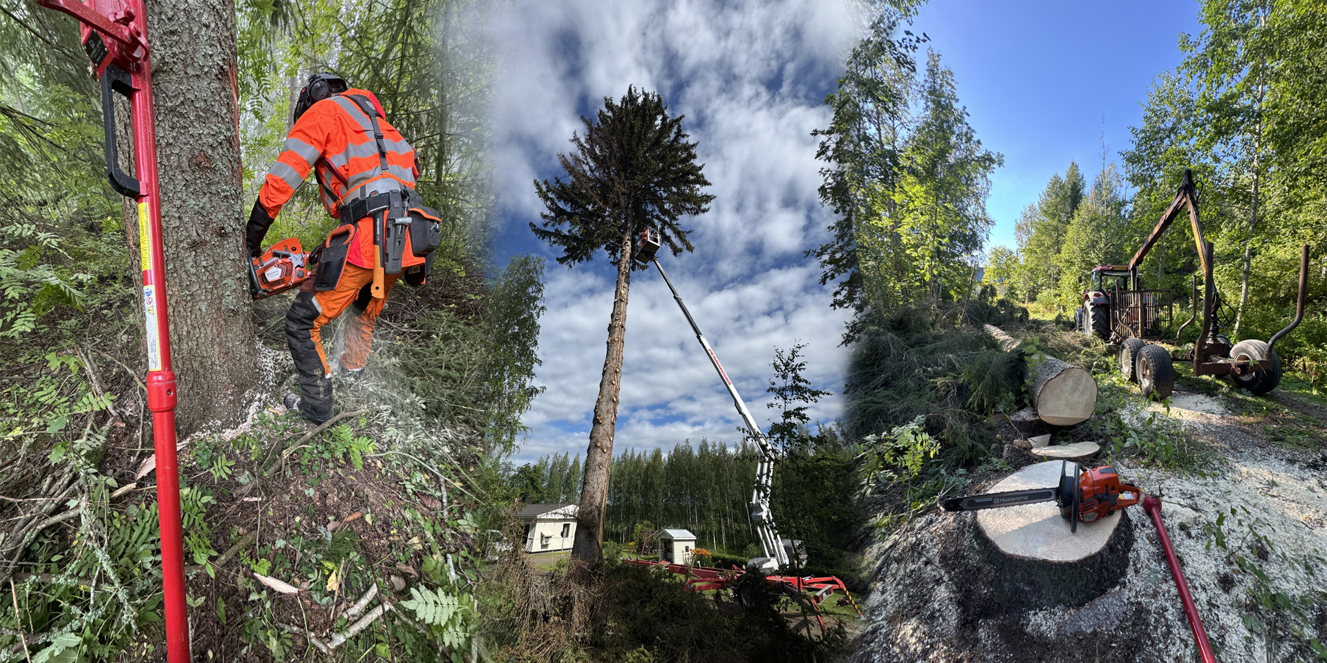 KVJ-FOREST OY METSURI PUUNKAATO