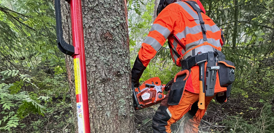 KVJ-FOREST METSURI KAATOTUNKKI KULJETUS HUSQVARNA